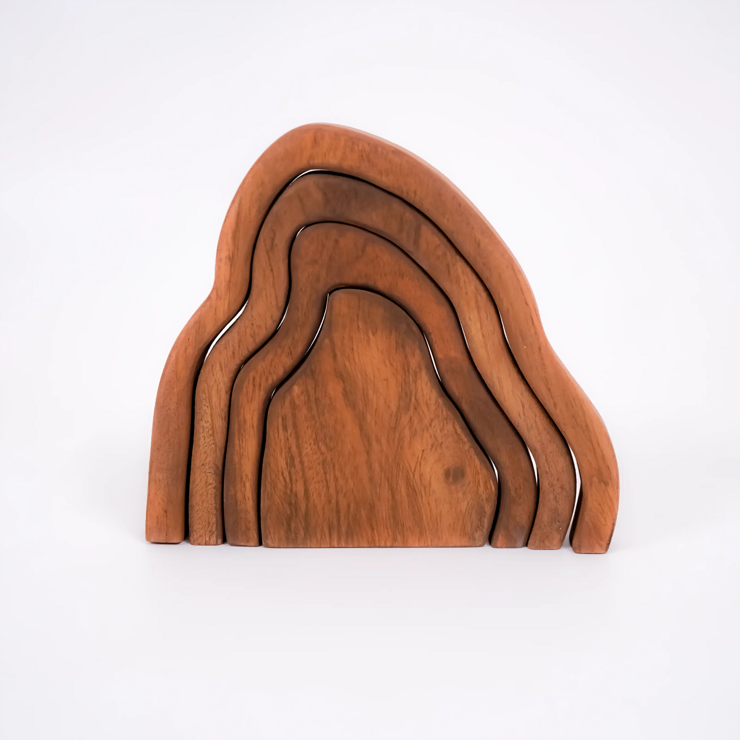 The Jungle Diaries Toy – Montessori Wooden Jungle Animal Playset