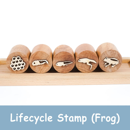 Frog Life Cycle Stamp – Montessori Wooden Stamp Set for Kids