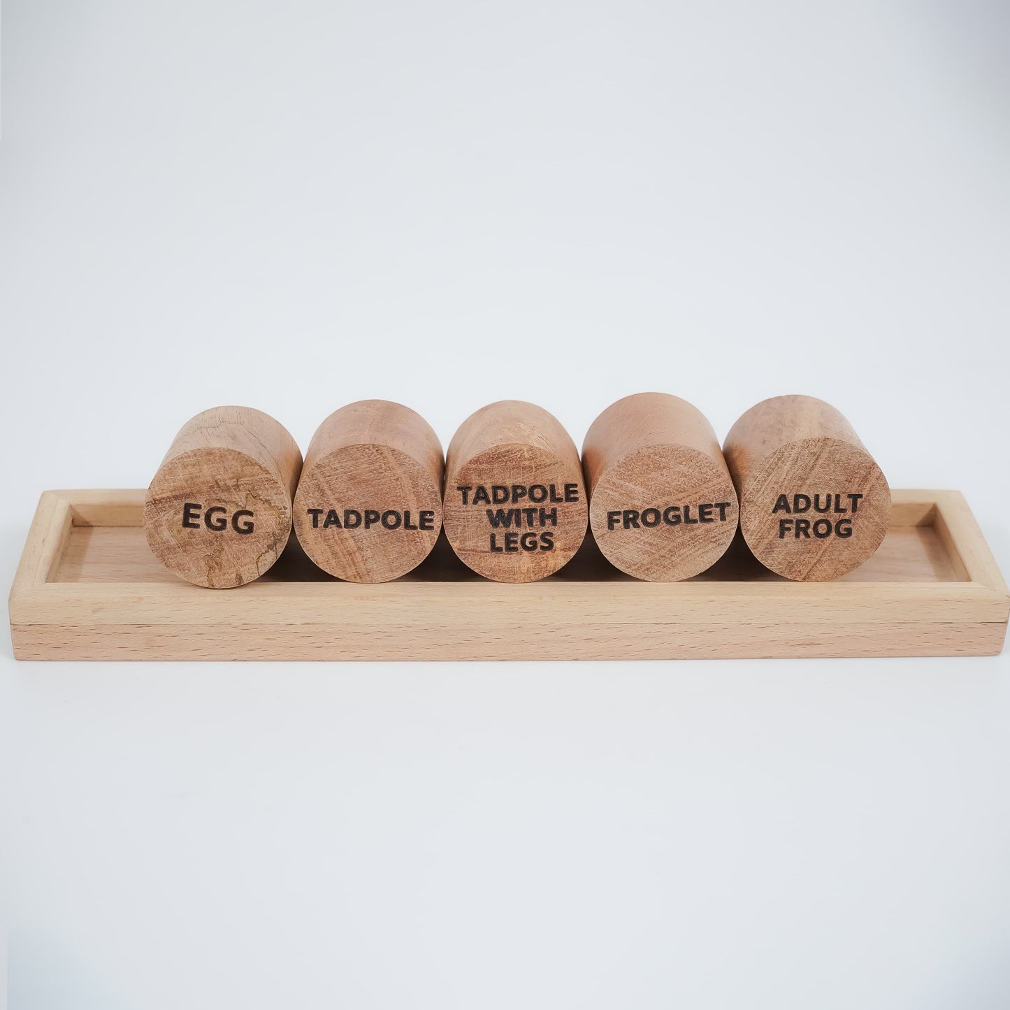 Frog Life Cycle Stamp – Montessori Wooden Stamp Set for Kids