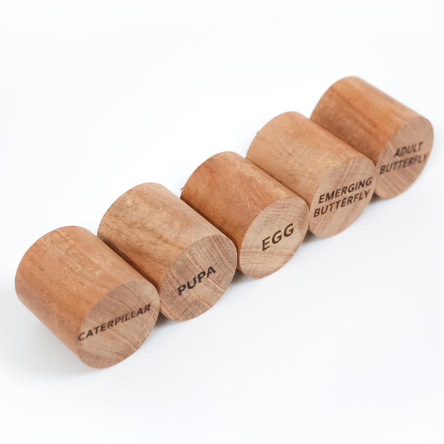 Wooden Butterfly Stamp Set