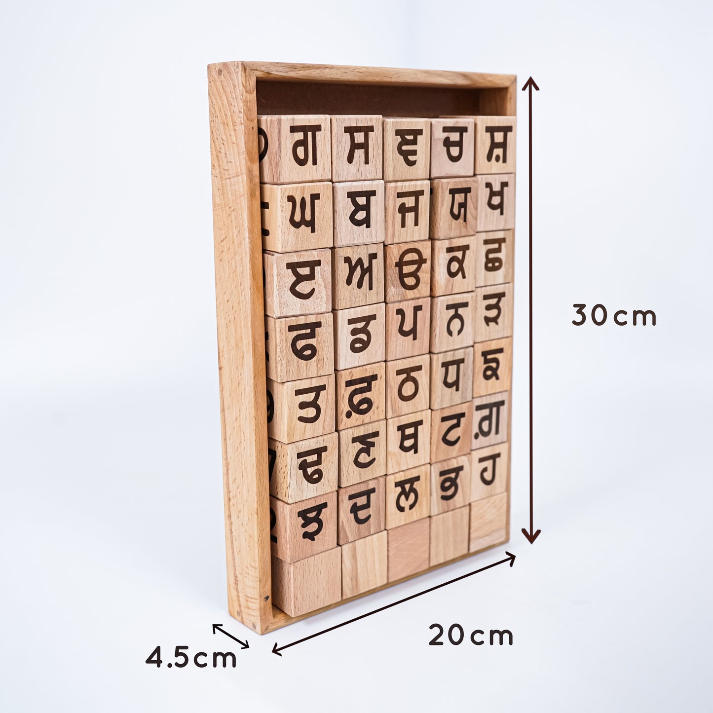 Educational Blocks Set (5-In-1) - Punjabi