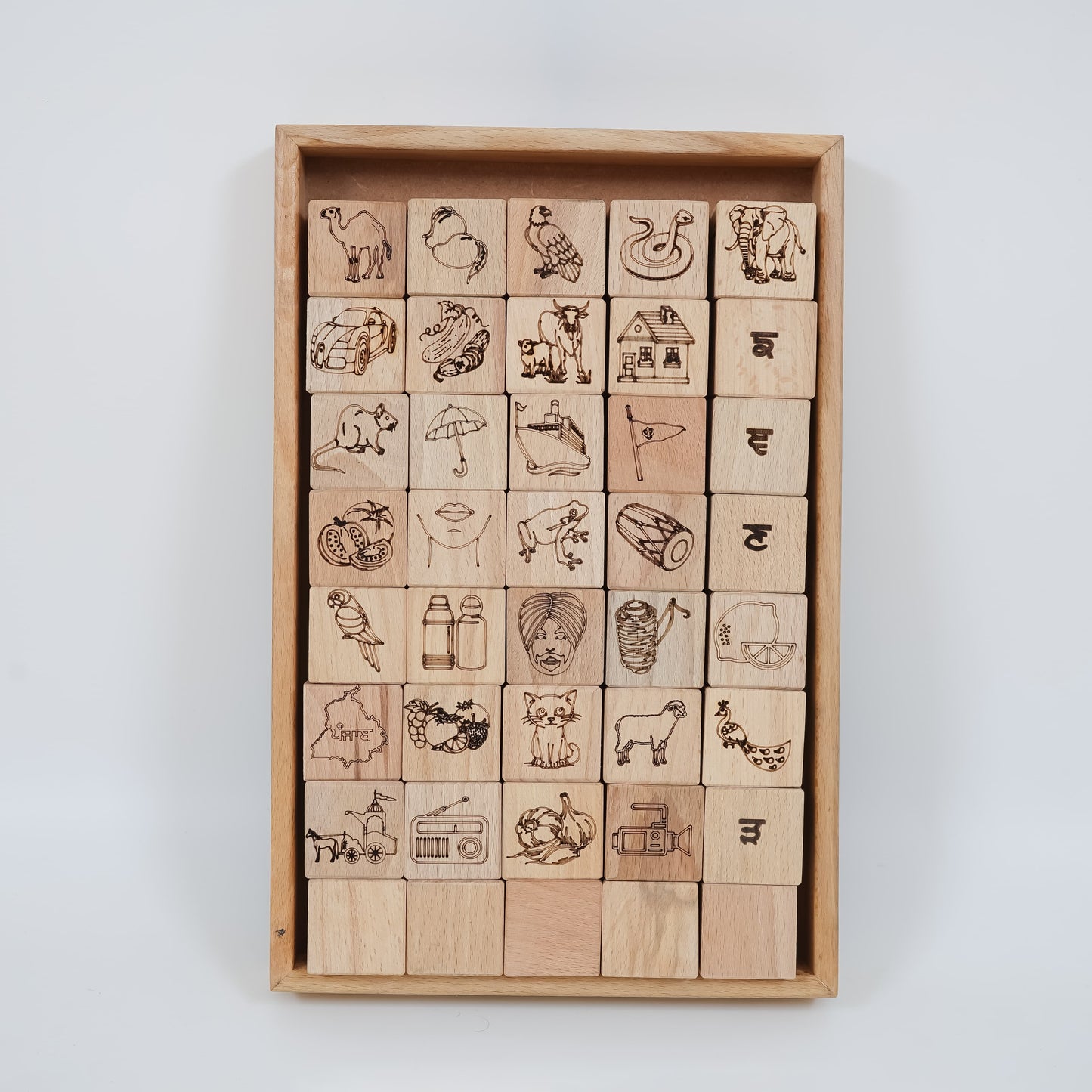 Educational Blocks Set (5-In-1) - Punjabi