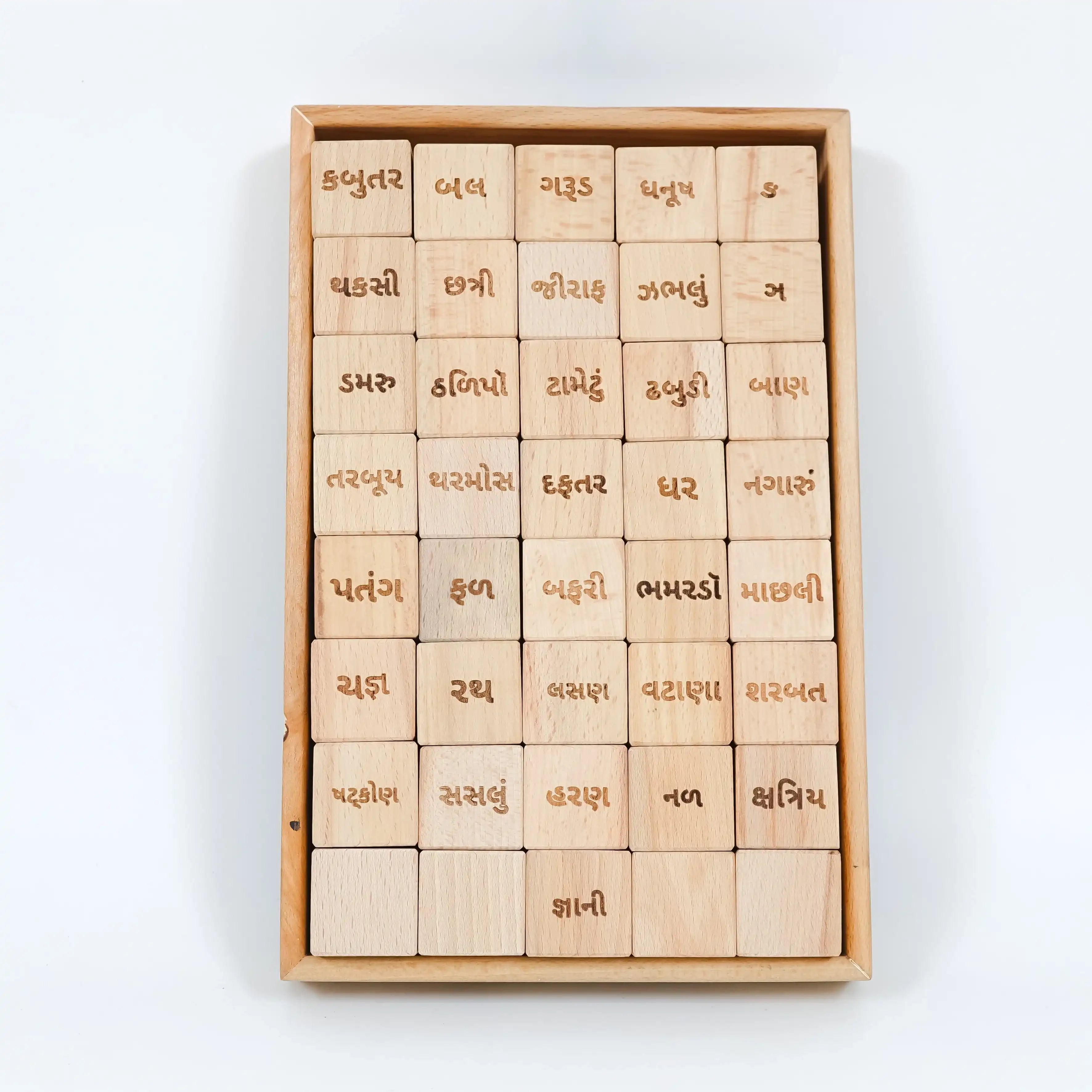 Gujrati Alphabet Educational Block Set