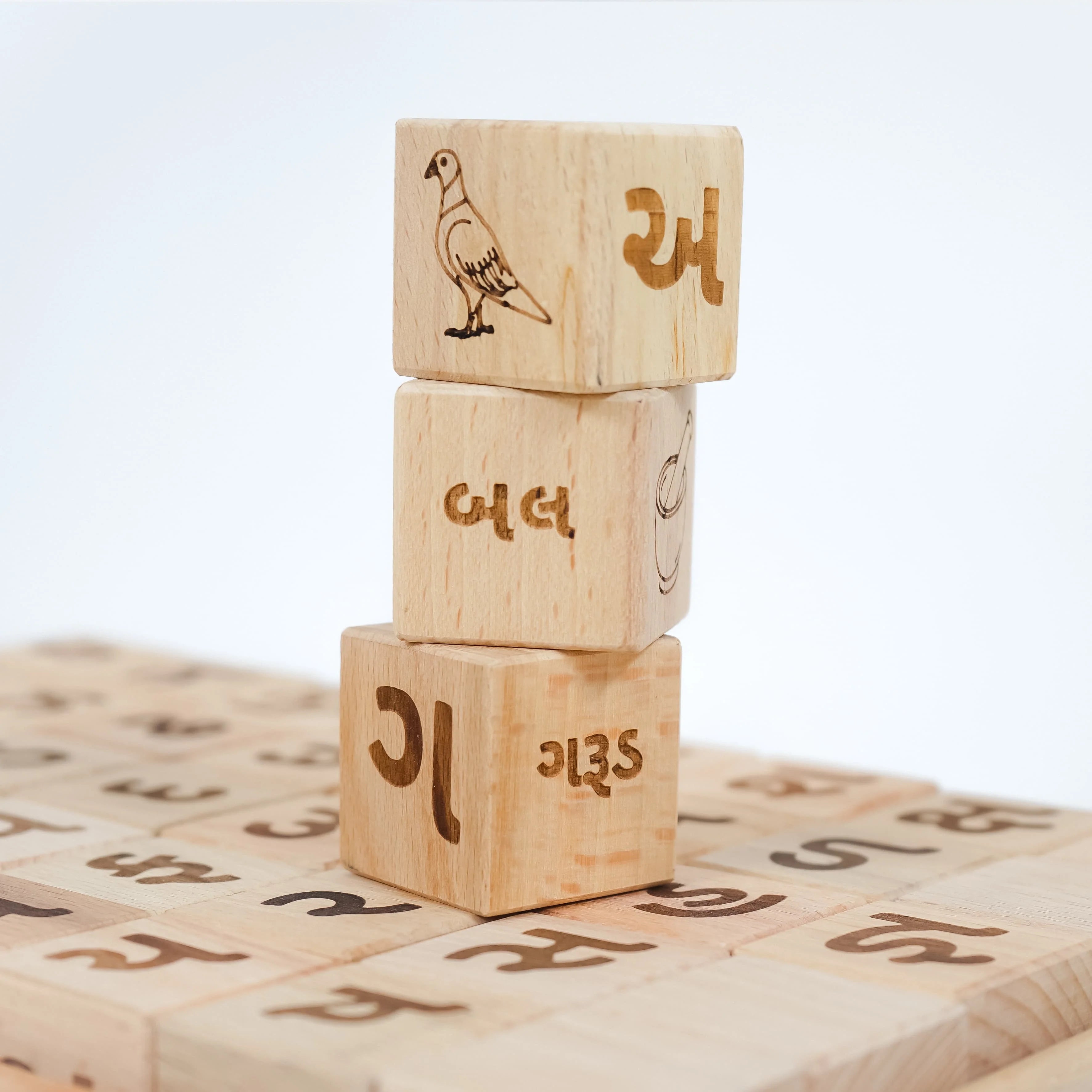 Gujrati Alphabet Educational Block Set