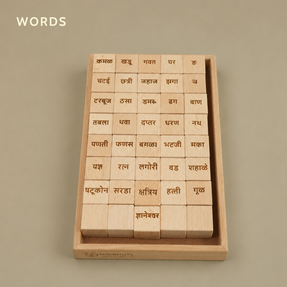 Educational Blocks Set (4-In-1) - Hindi