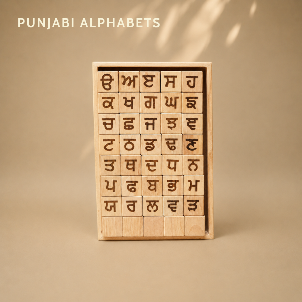 Educational Blocks Set (4-In-1) - Punjabi
