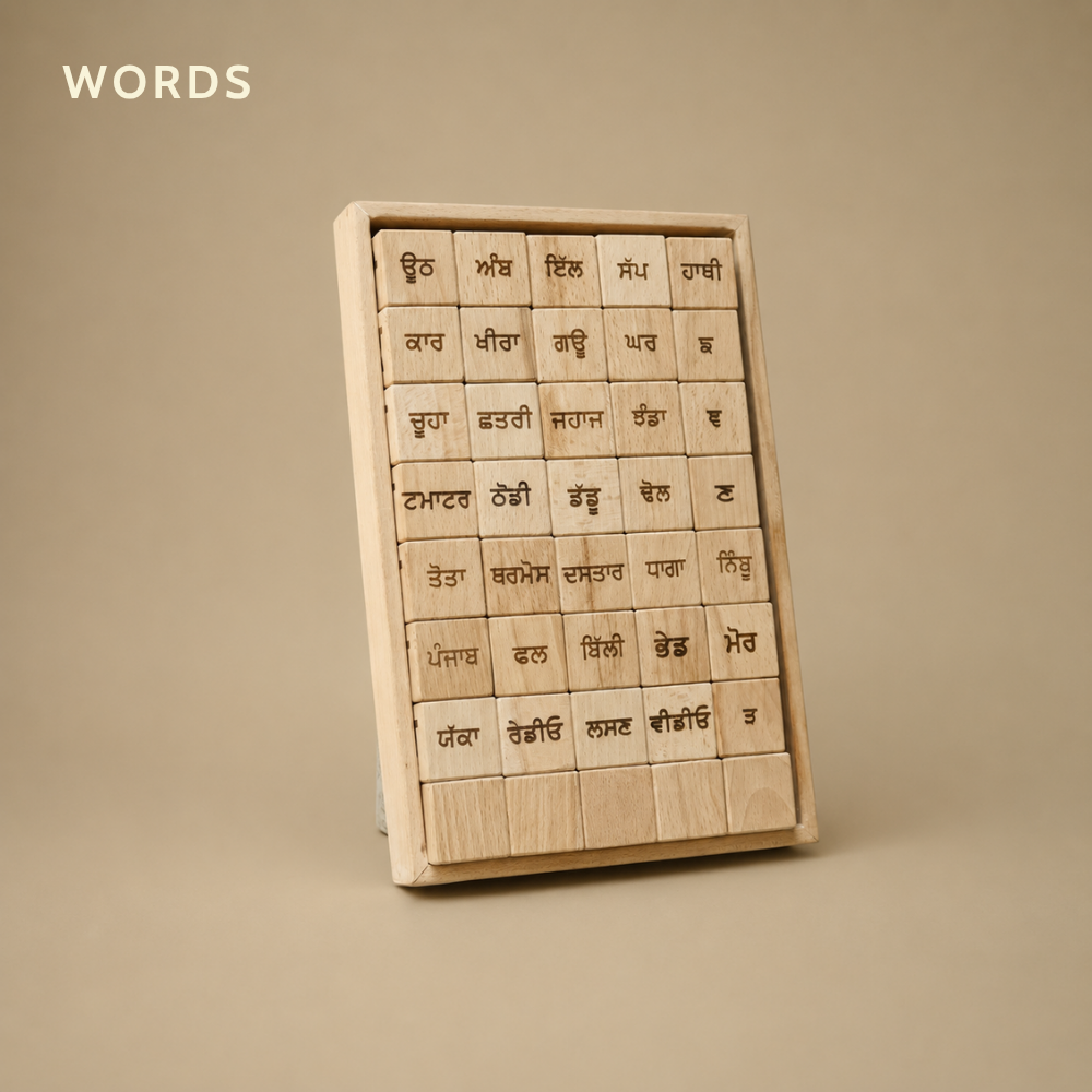 Educational Blocks Set (4-In-1) - Punjabi
