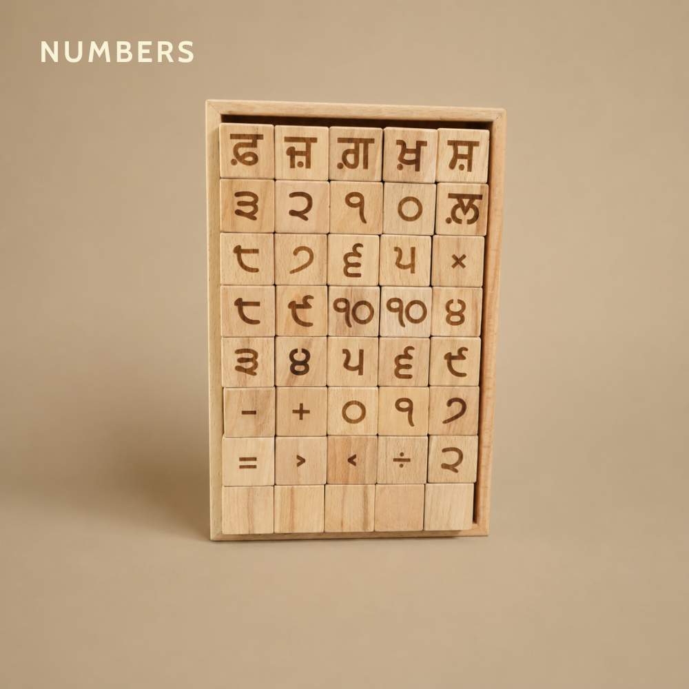 Educational Blocks Set (4-In-1) - Punjabi