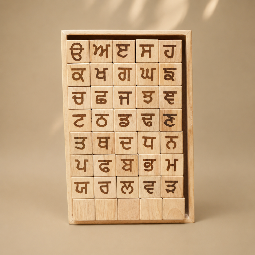 Educational Blocks Set (4-In-1) - Punjabi