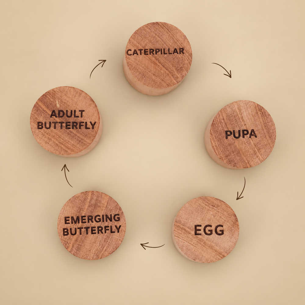Wooden Butterfly Stamp Set
