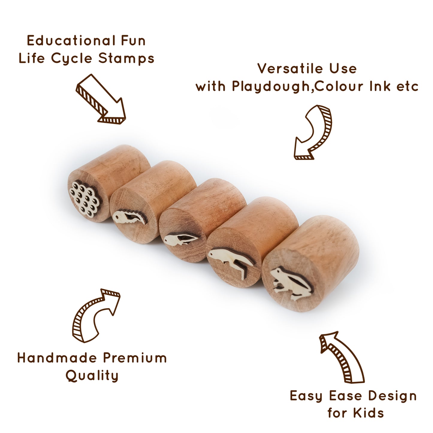 Frog Life Cycle Stamp
