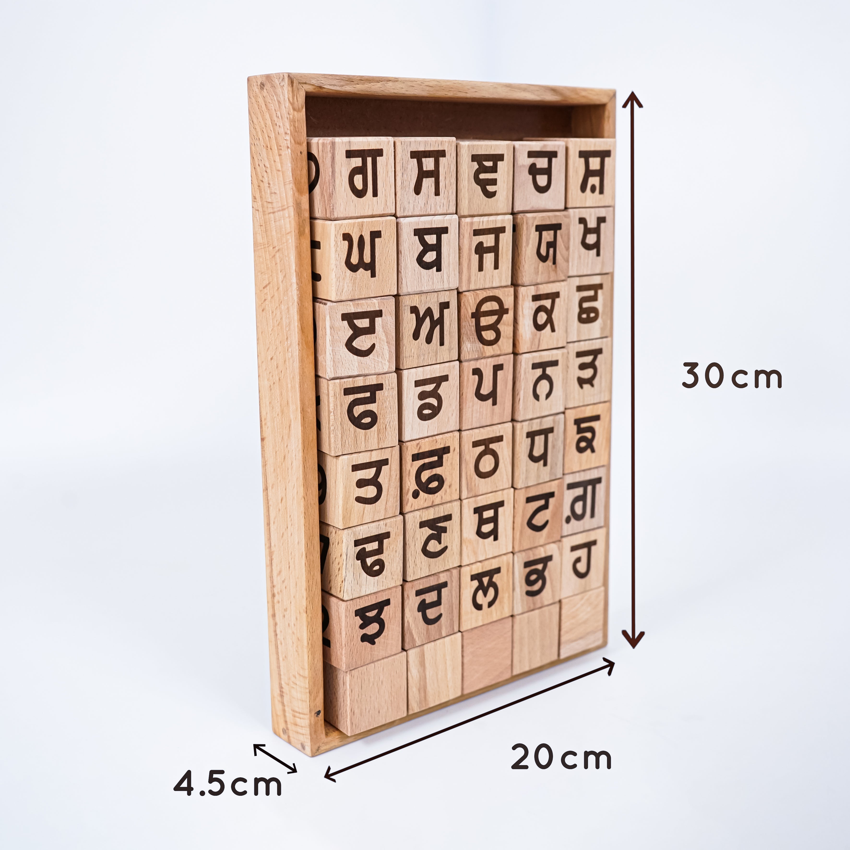 Punjabi Alphabet Wooden Blocks Toys