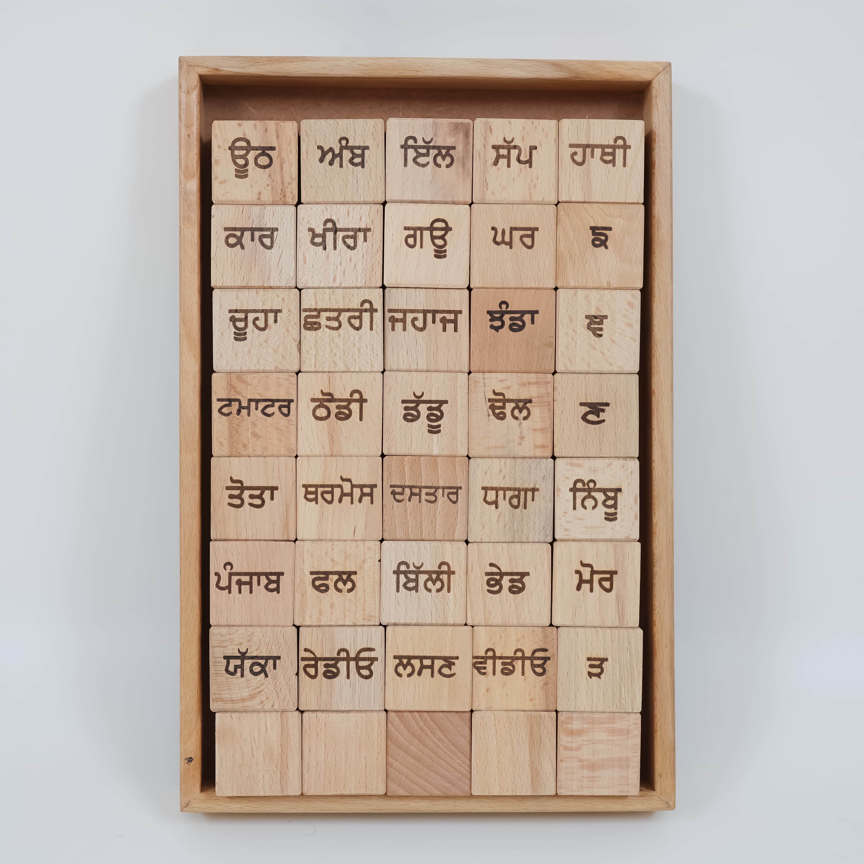 Punjabi Alphabet Wooden Blocks Toys